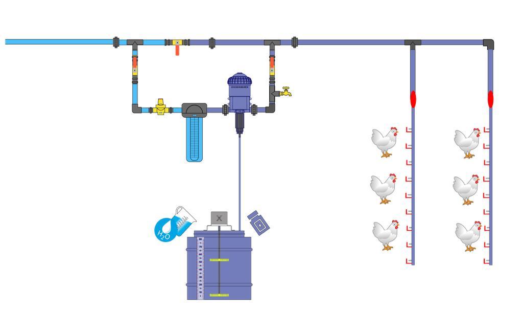 Picture of the author